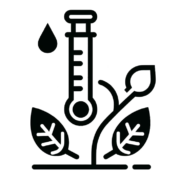 Plant Extracts